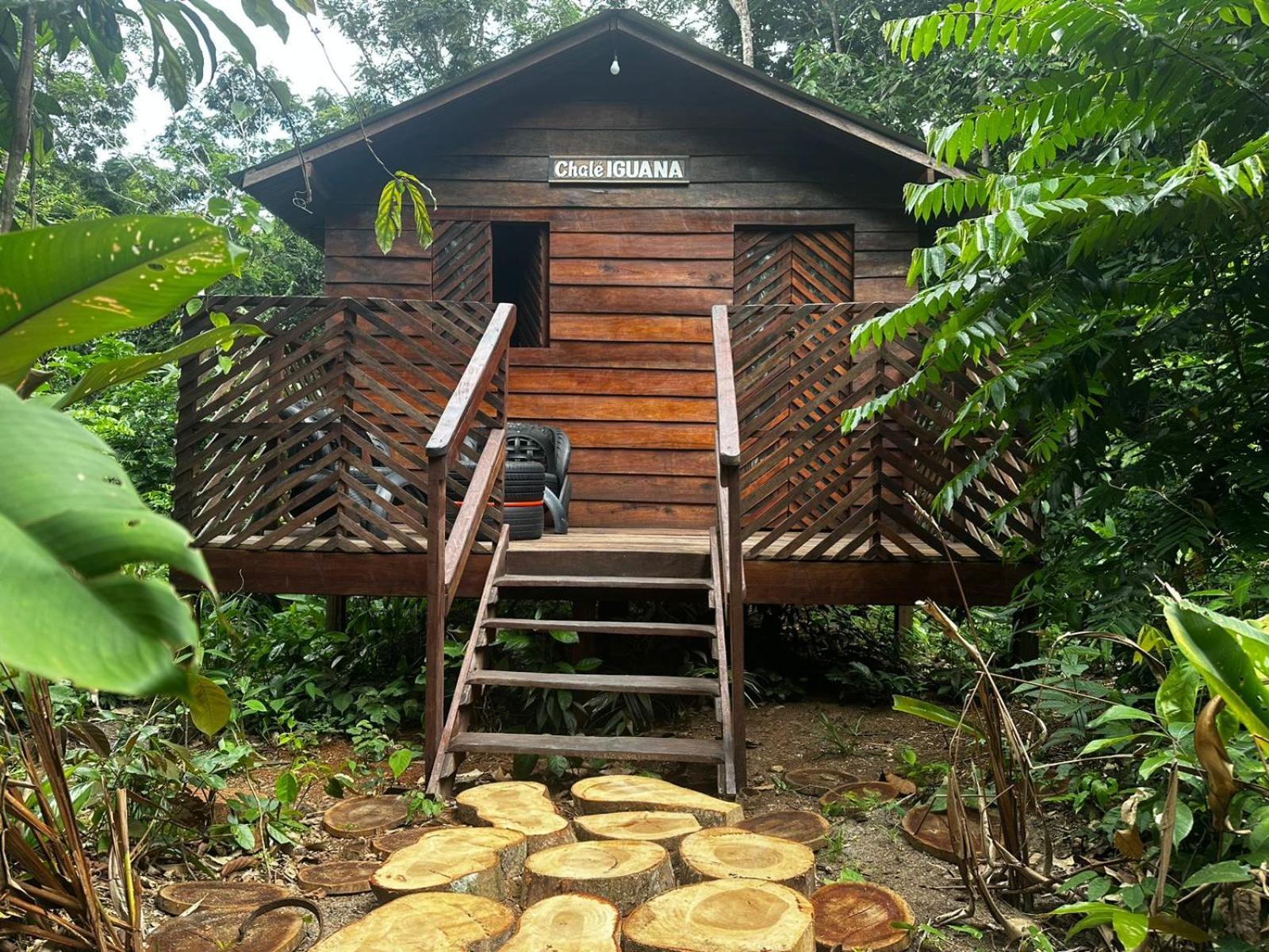 Refugio Samauma Hotel Manaus Exterior photo